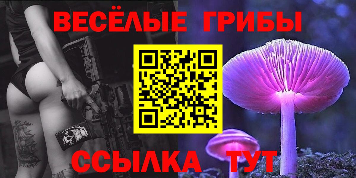 дарнет шоп  Вход с VPN  Чернушка  Псилоцибиновые грибы Magic Shrooms 