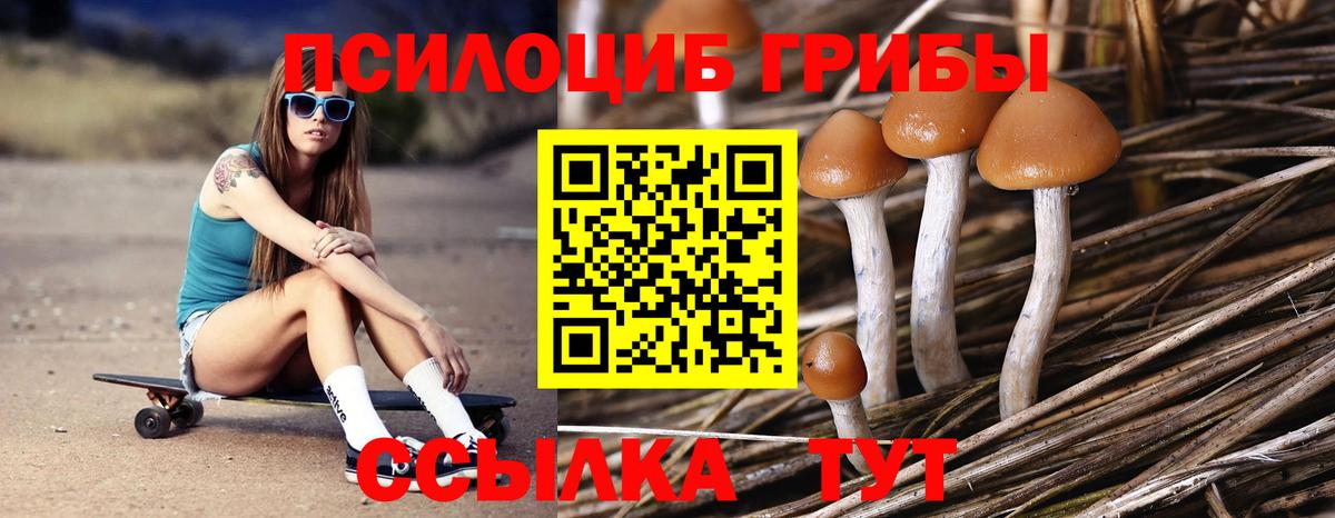 Галлюциногенные грибы MAGIC MUSHROOMS Чернушка